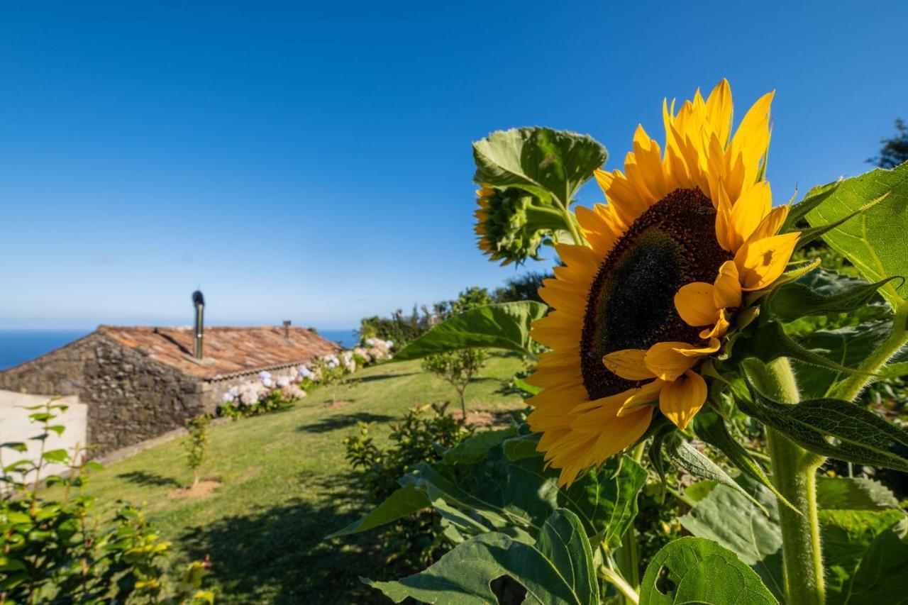 Casa Do Castanheiro - Nordeste, Acores Nordeste  Buitenkant foto